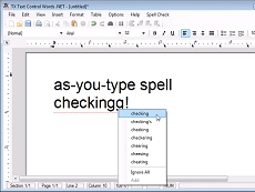 RapidSpell Desktop .NET