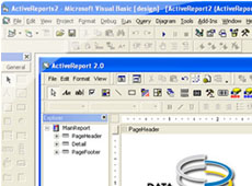 ActiveReports COM