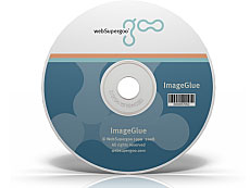 ImageGlue