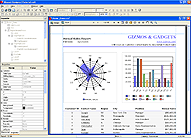 JReport Designer