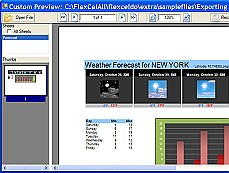 TMS Flexcel Studio for .NET