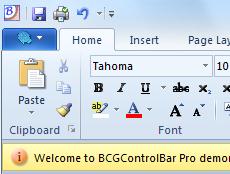 BCGSoft Professional Editor