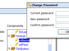 TMS IntraWeb Security System