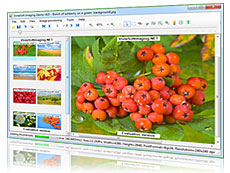 VintaSoftImaging.NET SDK