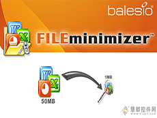 FILEminimizer Server