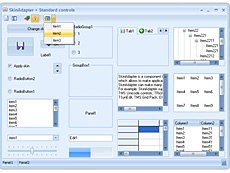 SkinAdapter VCL