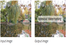 Watermarking SDK