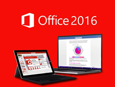 Microsoft Office 专业版