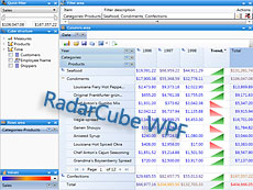 RadarCube WPF (OLAP Grid  OLAP Chart)