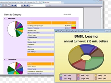 MindFusion.Reporting for Silverlight