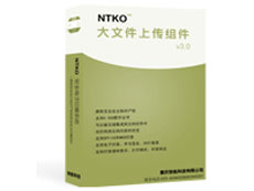 NTKO大文件上传控件