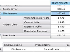 VIBlend OLAP Pivot Table for Silverlight