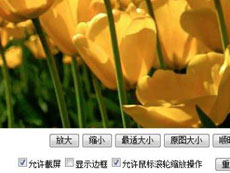 优道图片版权保护控件