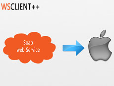WSClient