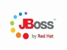 红帽 JBOSS® 中间件