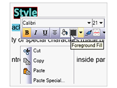 NOV Rich Text Editor for .NET