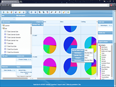 RadarCube ASP.NET MVC