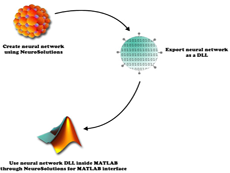 NeuroSolutions Accelerator