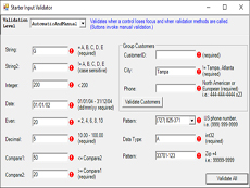 Xceed Input Validator for WinForms