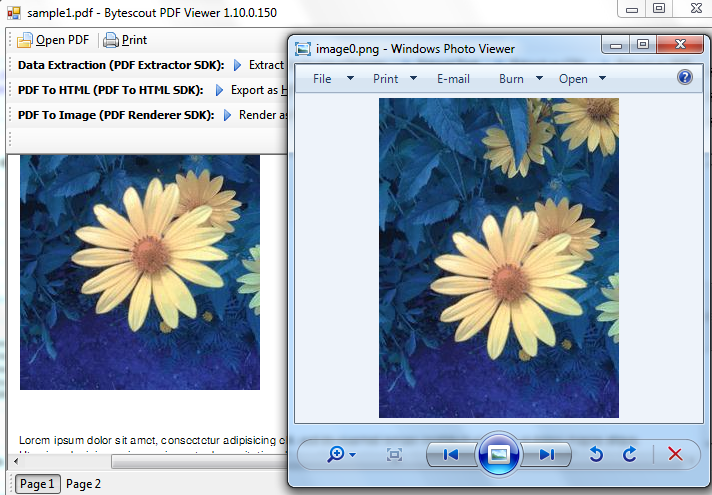 PDF Extractor SDK