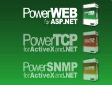PowerWEB Zoom Free for ASP.NET