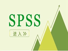 SPSS Statistics Subscription