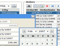 DbNetSuite